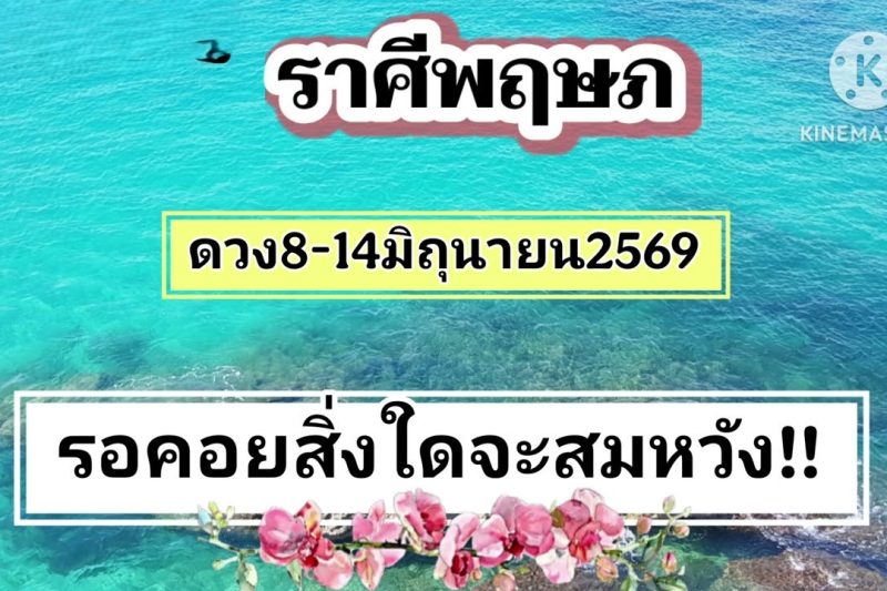 ราศีพฤษภ 8-14มิถุนายน69🔮รอคอยสิ่งใดจะสมหวัง