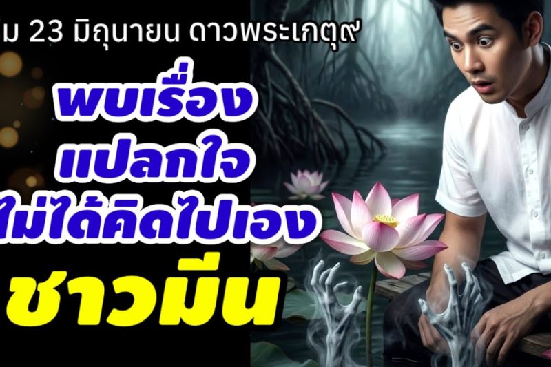 ราศีมีน ไม่ได้คิดไปเอง ดาวพระเกตุ
